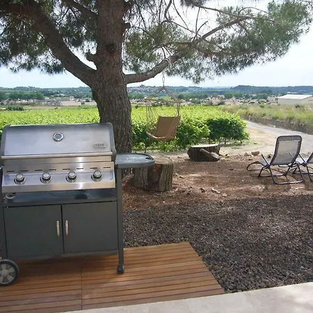Le Petit Mas Du Vigne Holiday home