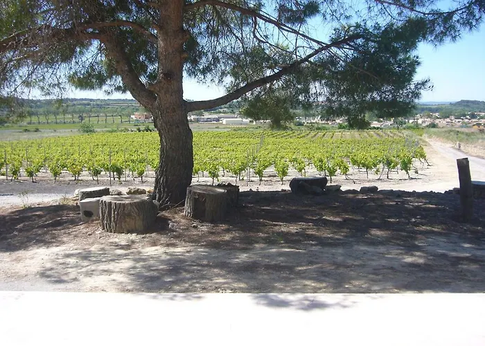 Le Petit Mas Du Vigne Prázdninový dům Saint-Pargoire